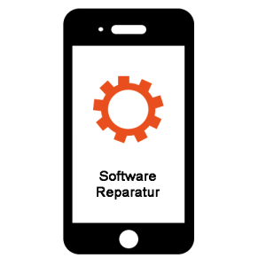 Software Reparatur